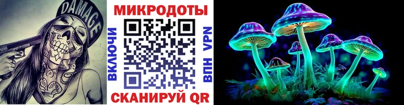 Псилоцибиновые грибы Psilocybe  KRAKEN ТОР  Лодейное Поле 